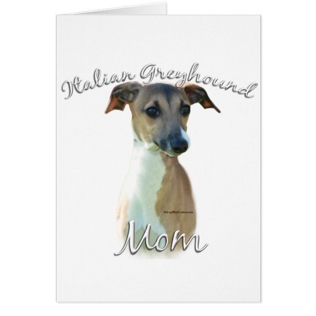 Italian Greyhound Mum 2 (Front)