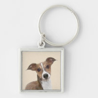 Italian Greyhound Painting - Cute Original Dog Art