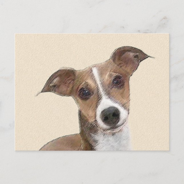 Italian Greyhound Painting - Cute Original Dog Art Postcard (Front)