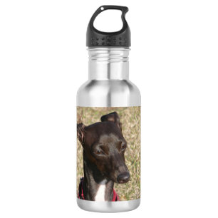 italian greyhound.png 532 ml water bottle