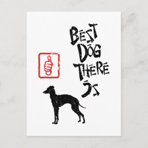 Italian Greyhound Postcard