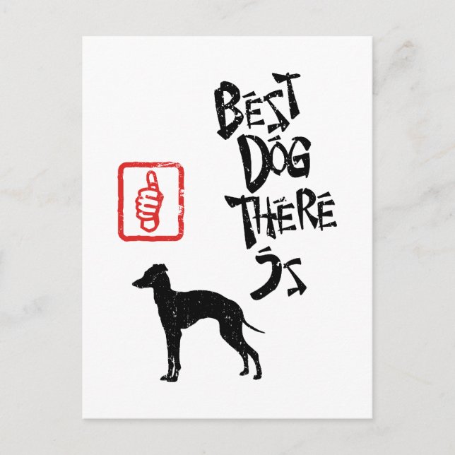 Italian Greyhound Postcard (Front)