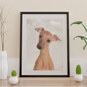 Italian Greyhound Poster