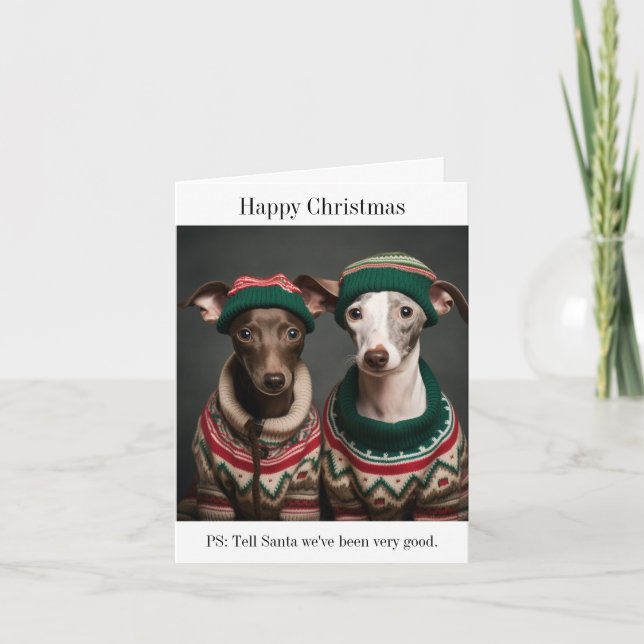 Italian Greyhound Puppies Christmas Card (Front)