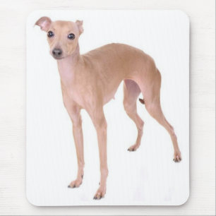 Italian Greyhound Puppy Dog Mousepad