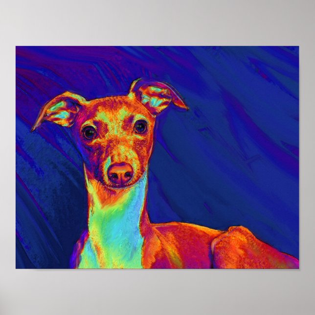 italian greyhound puppy poster (Front)