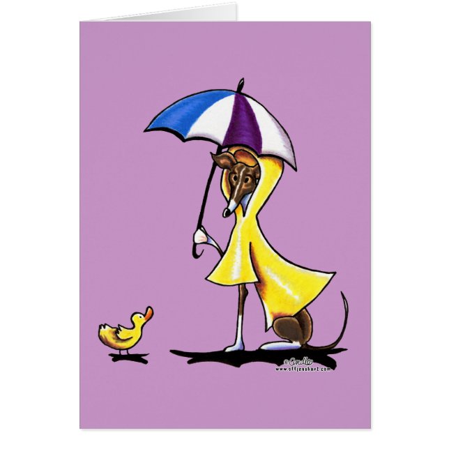 Italian Greyhound Raincoat (Front)