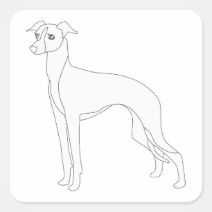 Italian Greyhound Ready to Colour Square Sticker