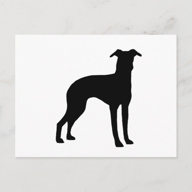 italian greyhound silhouette postcard (Front)
