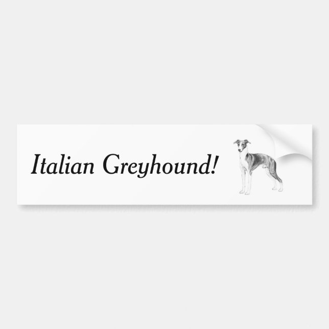 Italian Greyhound Style Bumper Sticker (Front)