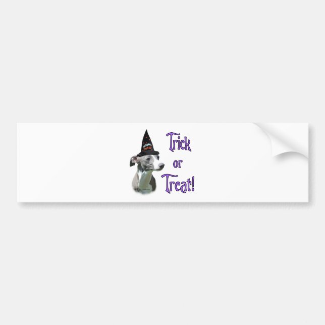 Italian Greyhound Trick Bumper Sticker (Front)