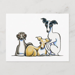 Italian Greyhound Trio Postcard