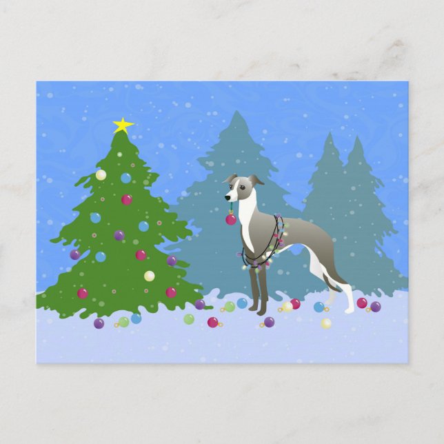 Italian Greyhound Whippet Decorating Christmas Tre Holiday Postcard (Front)