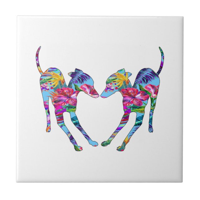 Italian Greyhounds Playing - Tropical Tile (Front)