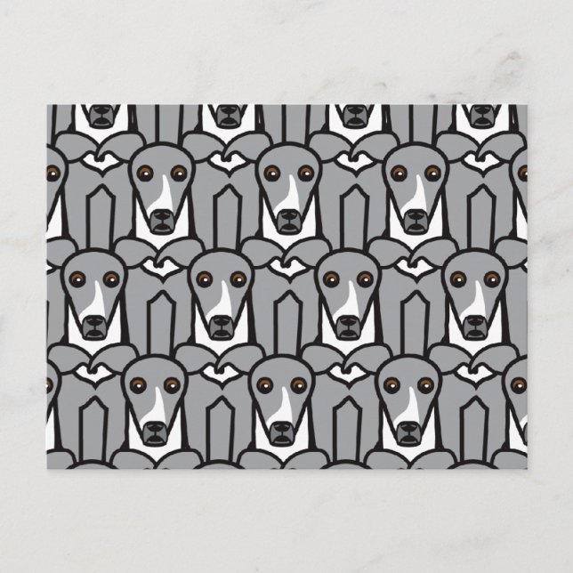 Italian Greyhounds Postcard (Front)