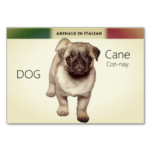 Italian Language Cards Dog Animal Flash  