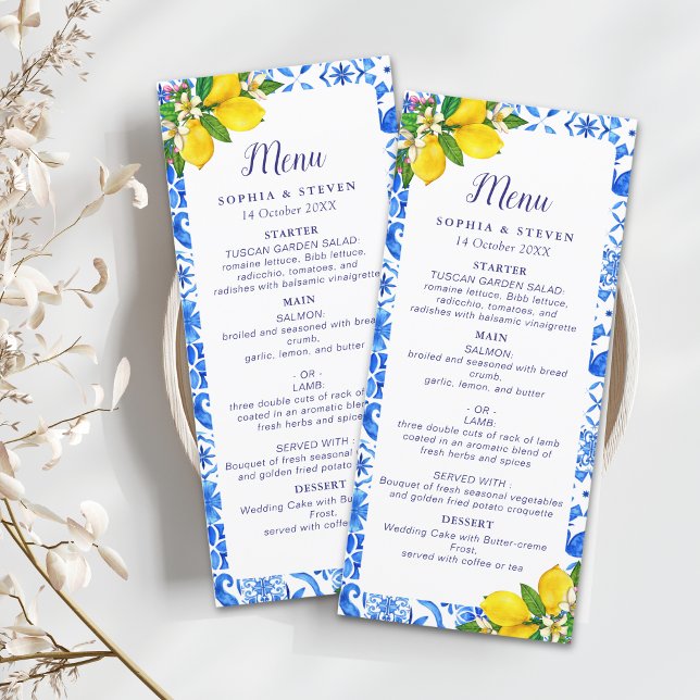 Italian Meditterranean Tiles Wedding  Programme (Creator Uploaded)