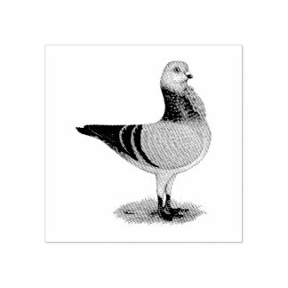 Italian Owl Grizzle Pigeon Rubber Stamp