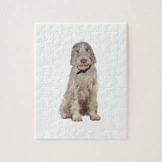 Italian Spinone (A) - Wheaten Jigsaw Puzzle