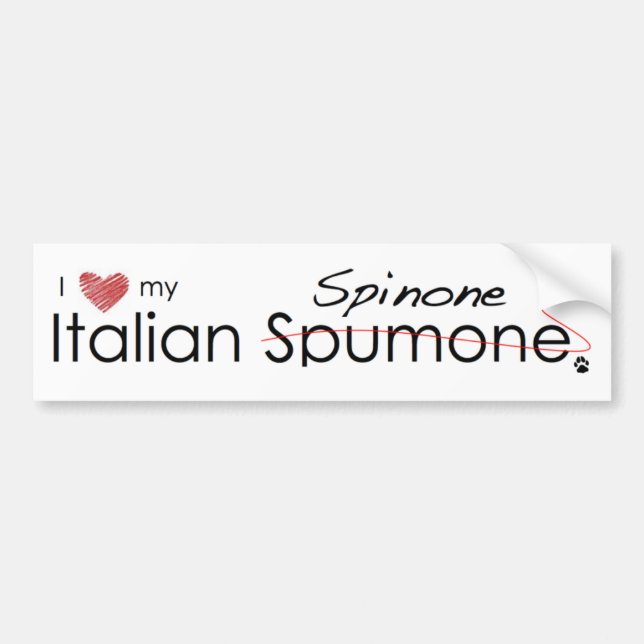 Italian Spinone Bumper Sticker (Front)