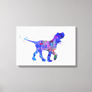 Italian Spinone Canvas Print