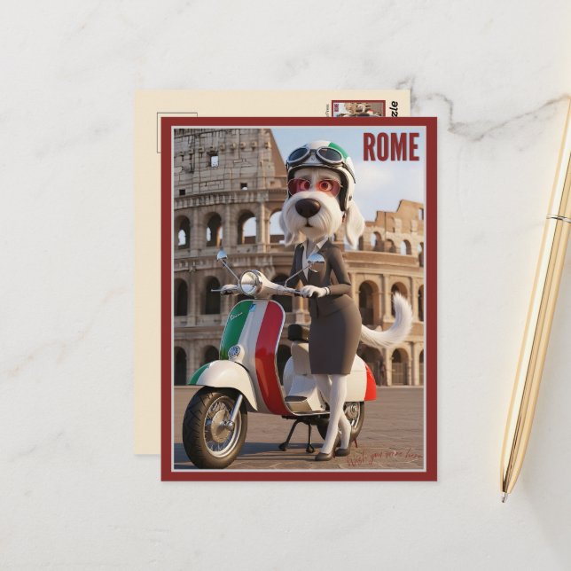 Italian Spinone Rome Postcard (Front/Back In Situ)