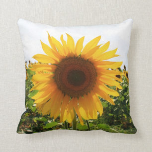 Italian Sunflower Cushion