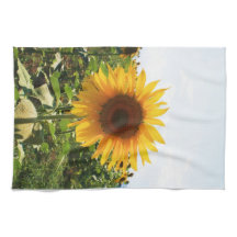 Italian Sunflower