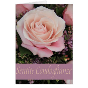 Italian Sympathy roses - sentite condoglianze