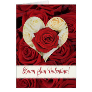 Italian Valentine's Day Roses