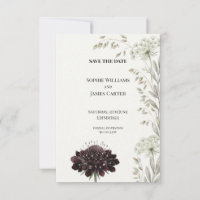 Italian Villa Black Knight Scabiosa Watercolo