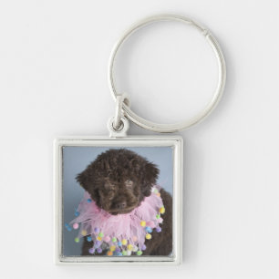 Italian Water Dog (Lagotto) Puppy Key Ring