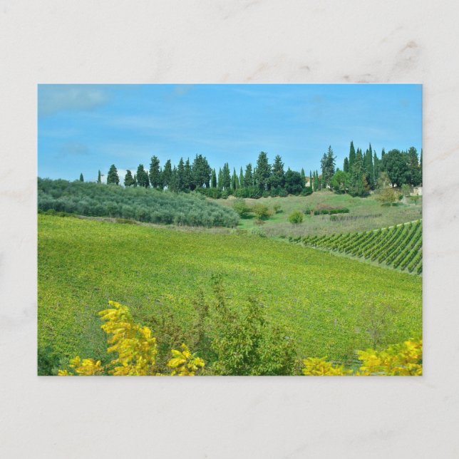 Italian Wine Country Postcard (Front)