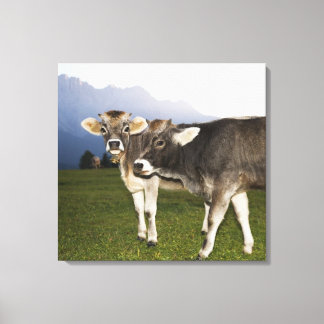 Italy, Alto Adige Canvas Print