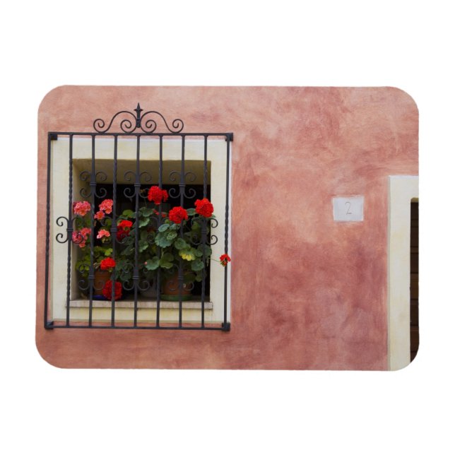 Italy, Asciano, Window Boxes with Fresh Spring Magnet (Horizontal)