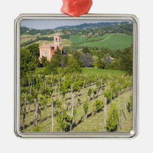 Italy, Bologna, View through Vineyard to Chiesa Metal Tree Decoration
