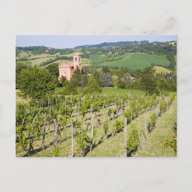 Italy, Bologna, View through Vineyard to Chiesa Postcard (Front)