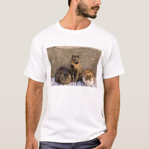 Italy, Cinque Terre, Vernazza. Three cats T-Shirt