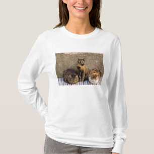 Italy, Cinque Terre, Vernazza. Three cats T-Shirt