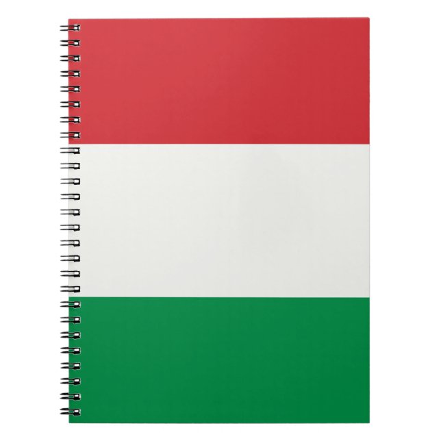 Italy flag spiral notebook (Front)