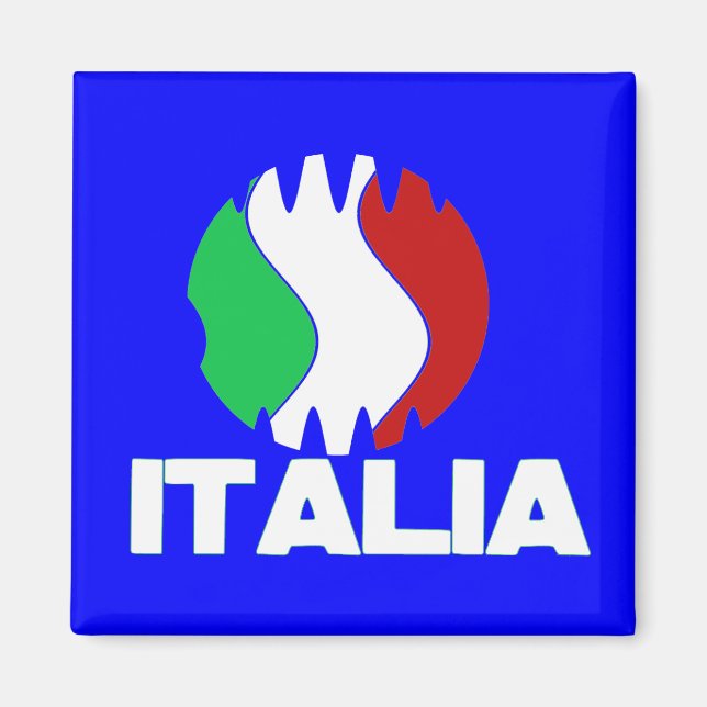 Italy Italia WC 2010 Fridge Magnet (Front)