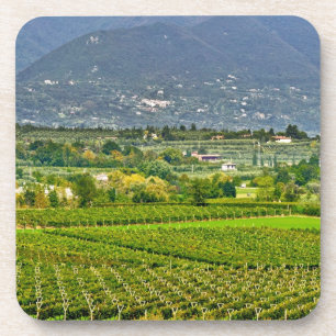 Italy, Lake Garda. The shores of Lake Garda are Coaster