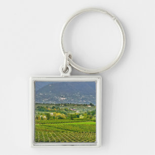 Italy, Lake Garda. The shores of Lake Garda are Key Ring