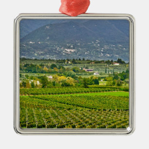 Italy, Lake Garda. The shores of Lake Garda are Metal Tree Decoration