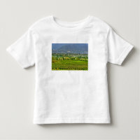 Italy, Lake Garda. The shores of Lake Garda are