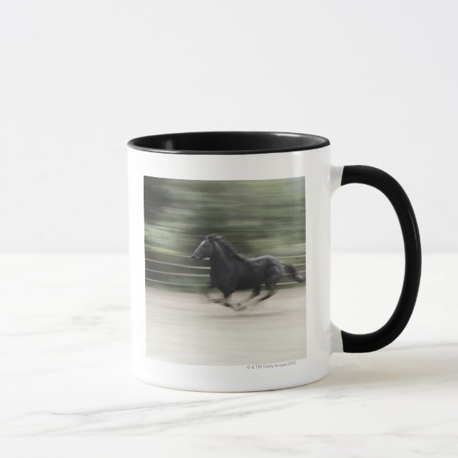 Italy, Latium, Maremma horse galloping (blurred Mug (Right)