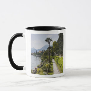 Italy, Lecco Province, Varenna. Villa Monastero, Mug