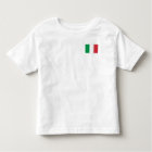 Italy National World Flag