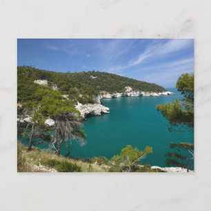 Italy, Puglia, Promontorio del Gargano, Testa Postcard