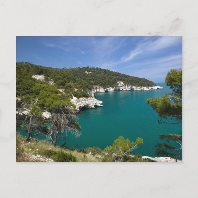 Italy, Puglia, Promontorio del Gargano, Testa Postcard (Front)